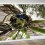 portfolio de kittelskistudio