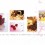 portfolio de Crystal Design