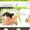 portfolio de Kazim