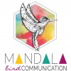 logo Morgane Beaujard
